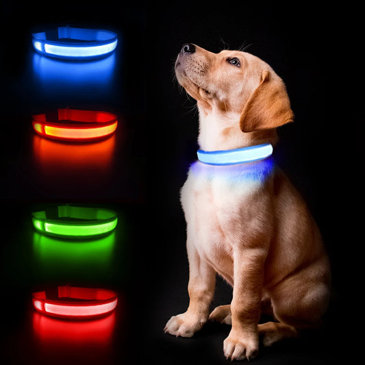 Luminous Waterpoof  Dog Collar