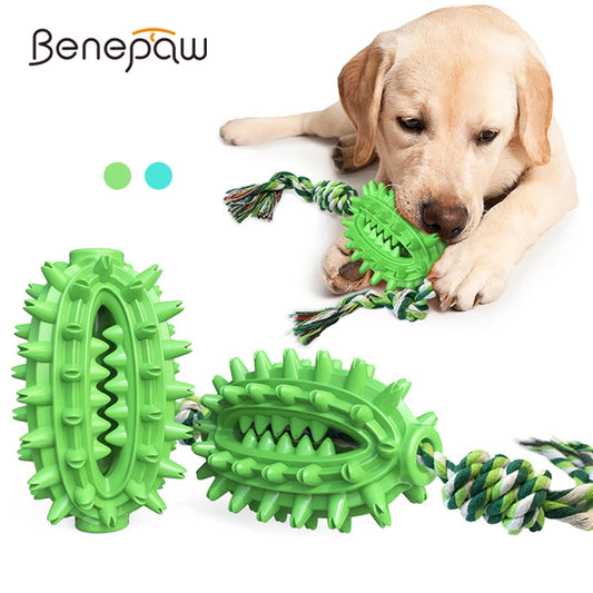 Cactus Shaped Chew Toy