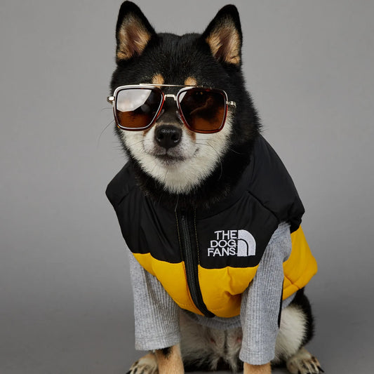 Dog Face Punch Large Dogs Winter Warm Raincoat Anti Pet Cotton Clothing Windproof Rainproof Dog Coat