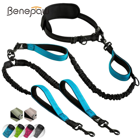 Hands Free Double Dog Leash